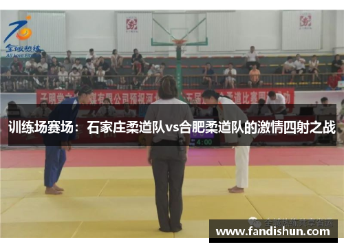 训练场赛场：石家庄柔道队vs合肥柔道队的激情四射之战
